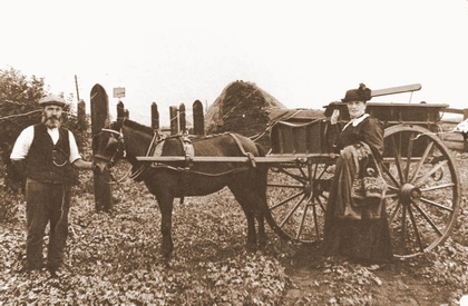 James Martin and Sarah Elizabeth Giddings in Downham Fen with pony and trap.